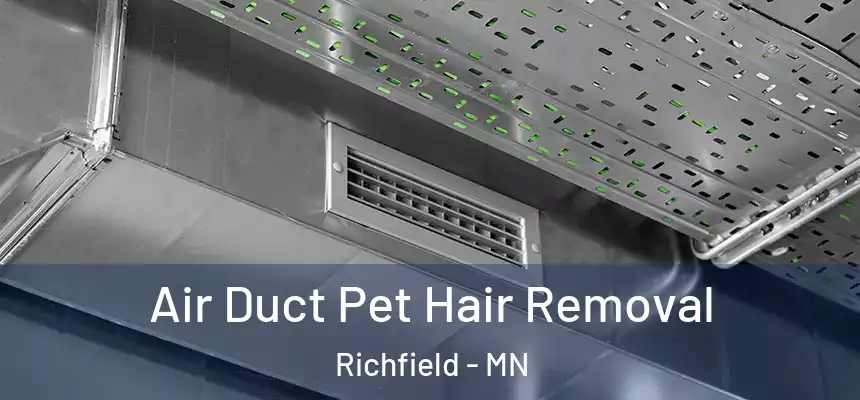 Air Duct Pet Hair Removal Richfield - MN
