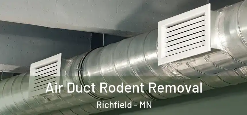 Air Duct Rodent Removal Richfield - MN
