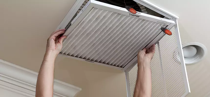 Our Insect Removal from Air Ducts Services in Richfield, MN