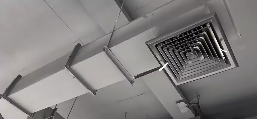 Our Pest Removal From Ducts Services in Richfield, MN